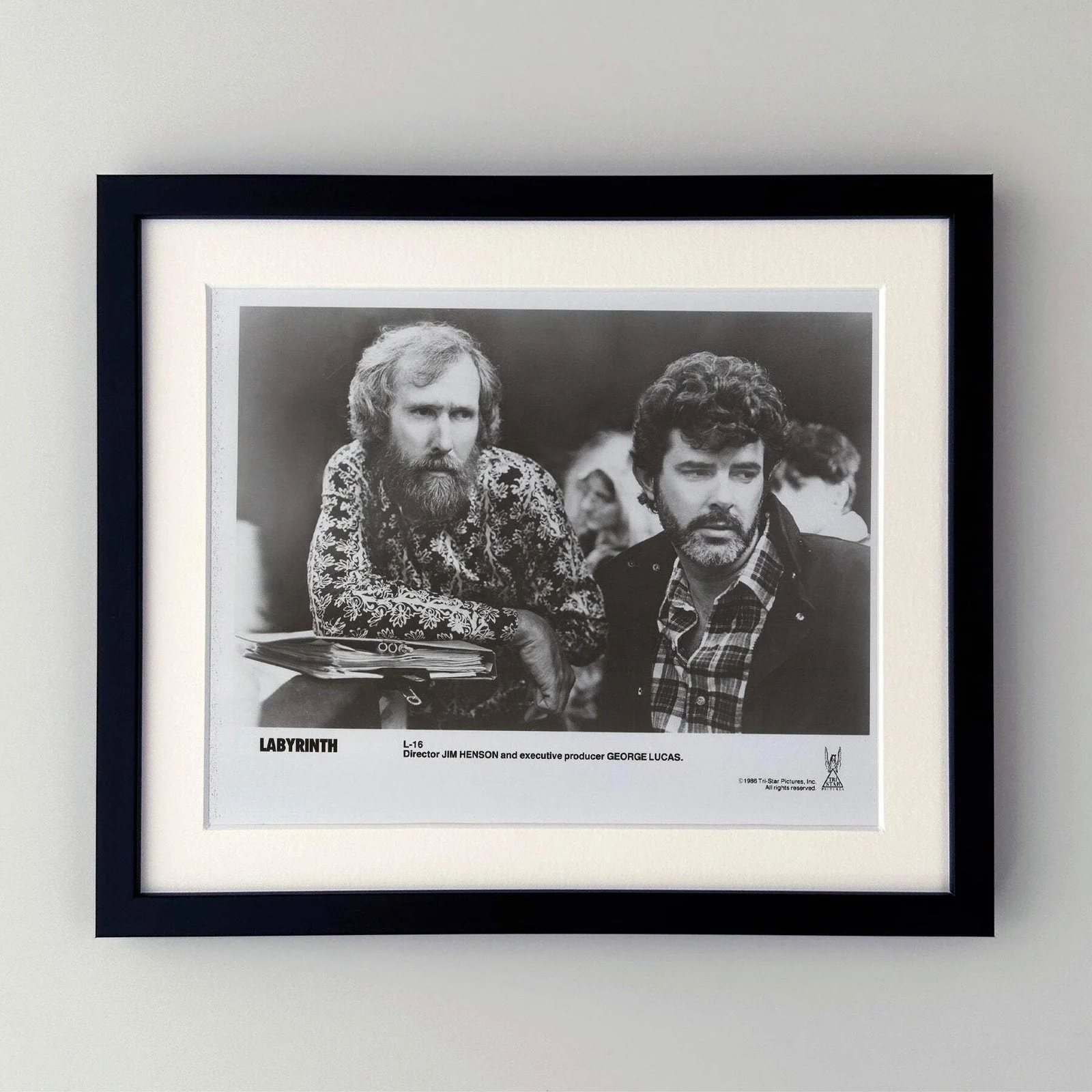 Labyrinth (1986) Press Publicity Still - Framed, image 2
