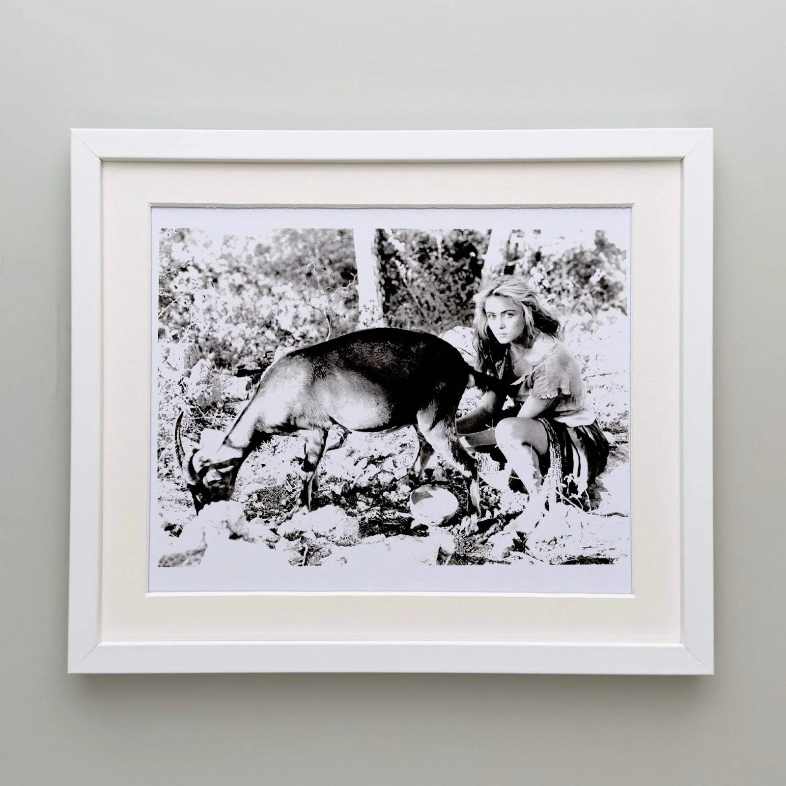 Manon des Sources (1986) Press Publicity Still - Framed, image 4