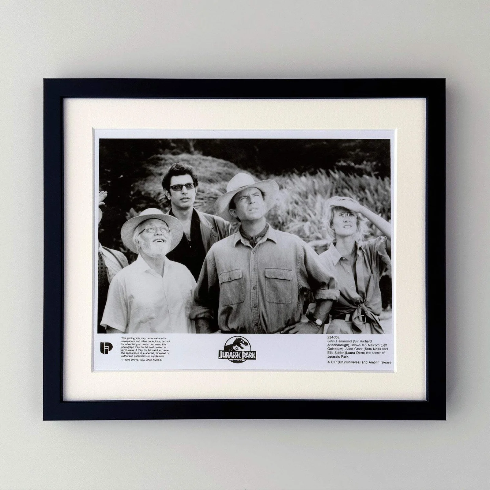 Jurassic Park (1993) Press Publicity Still - Framed, image 2