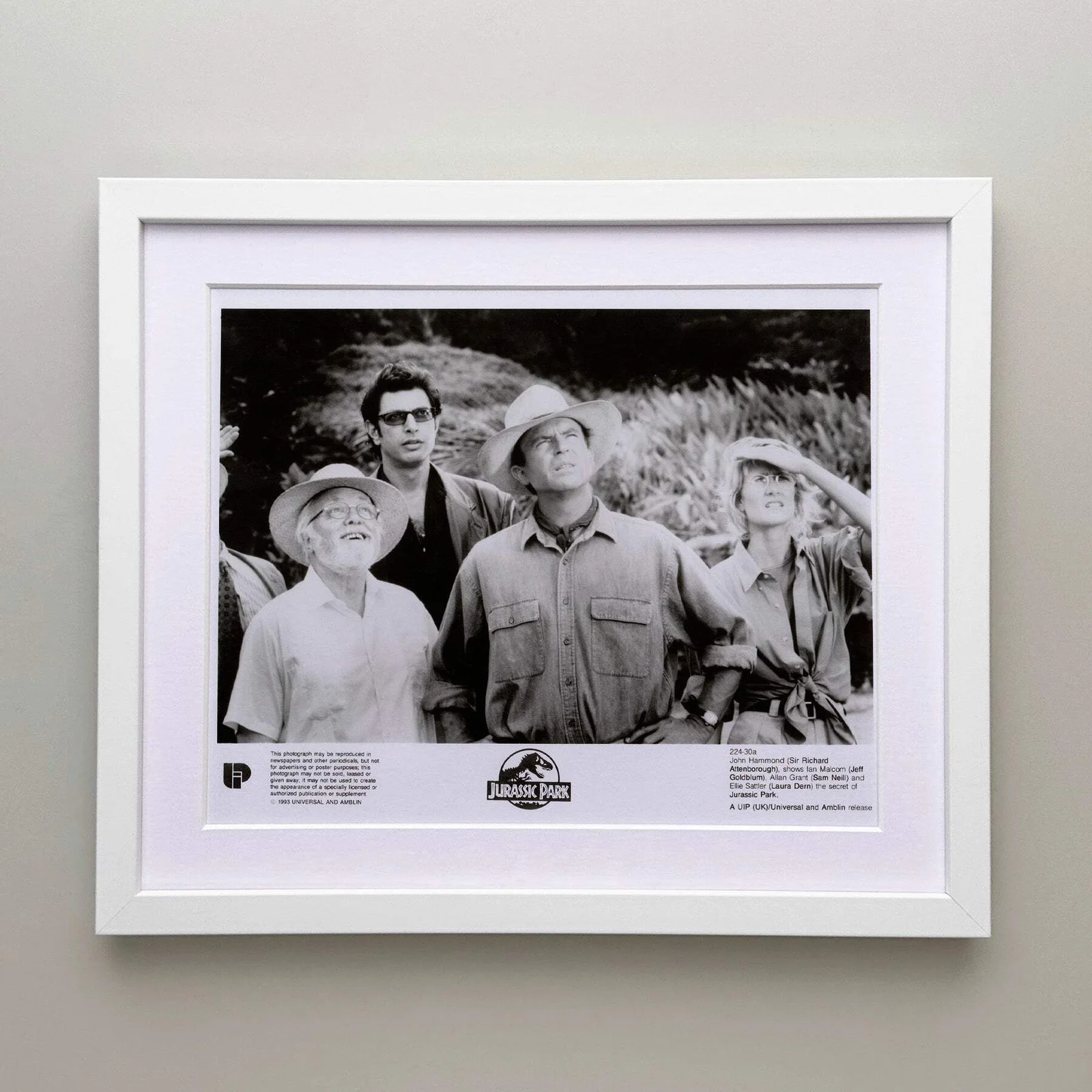 Jurassic Park (1993) Press Publicity Still - Framed, image 3