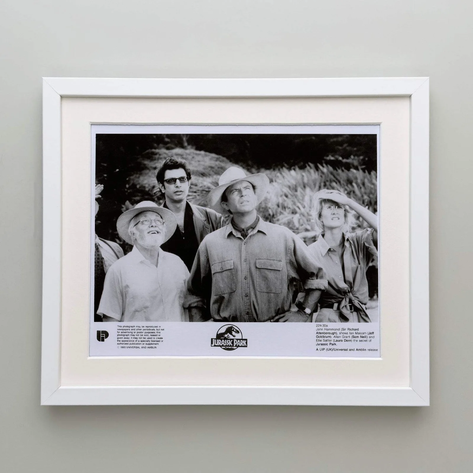 Jurassic Park (1993) Press Publicity Still - Framed, image 4