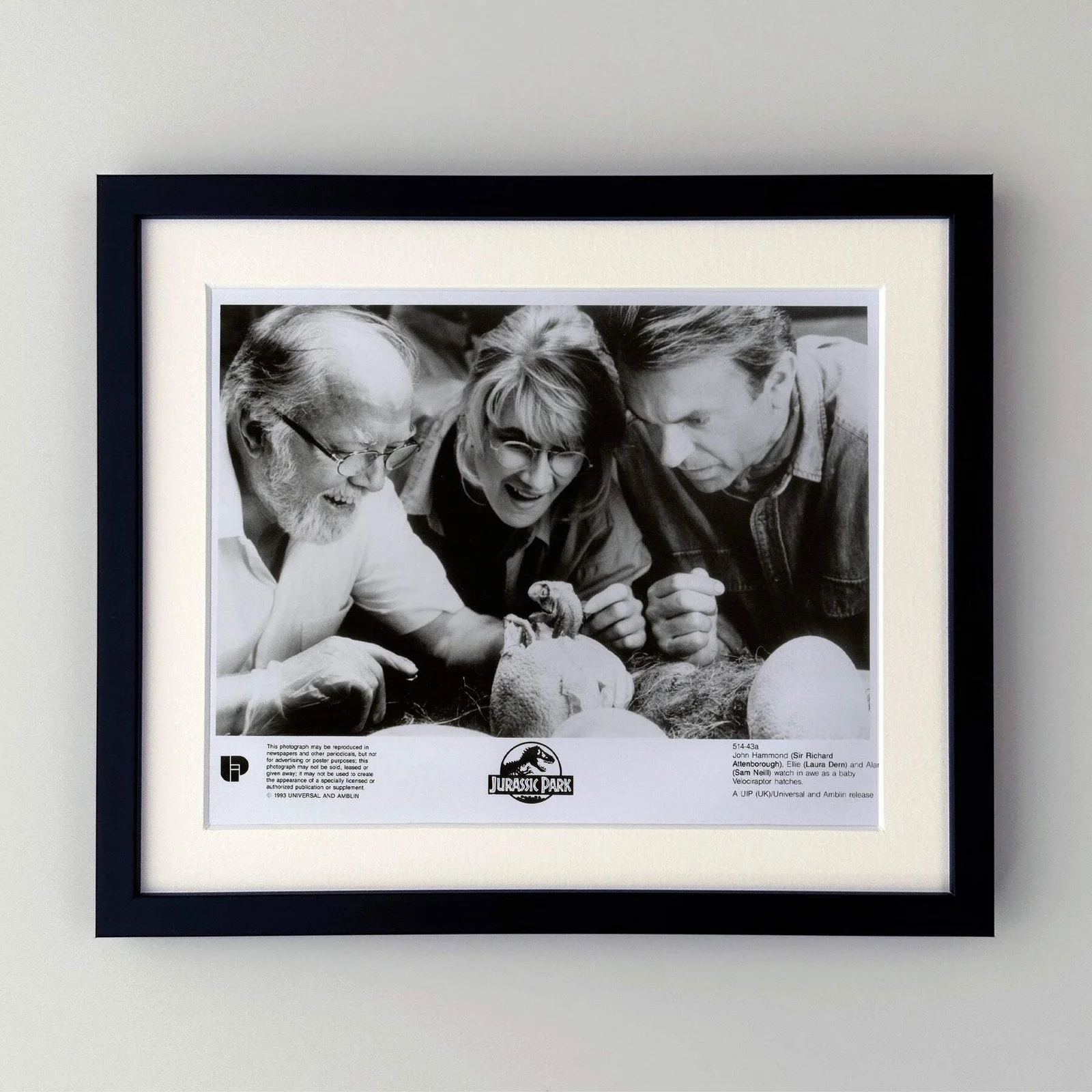 Jurassic Park (1993) Press Publicity Still - Framed, image 2
