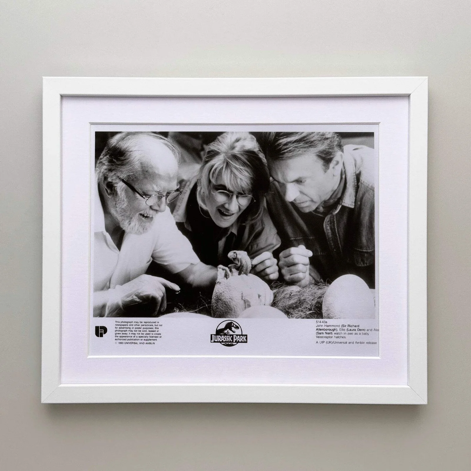 Jurassic Park (1993) Press Publicity Still - Framed, image 3