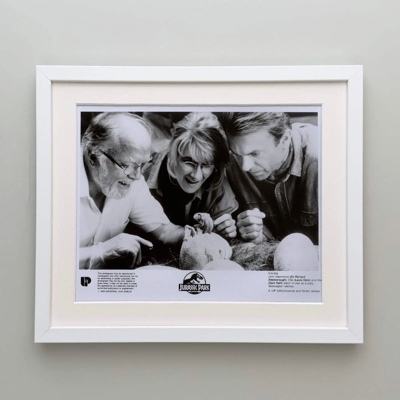 Jurassic Park (1993) Press Publicity Still - Framed, image 4