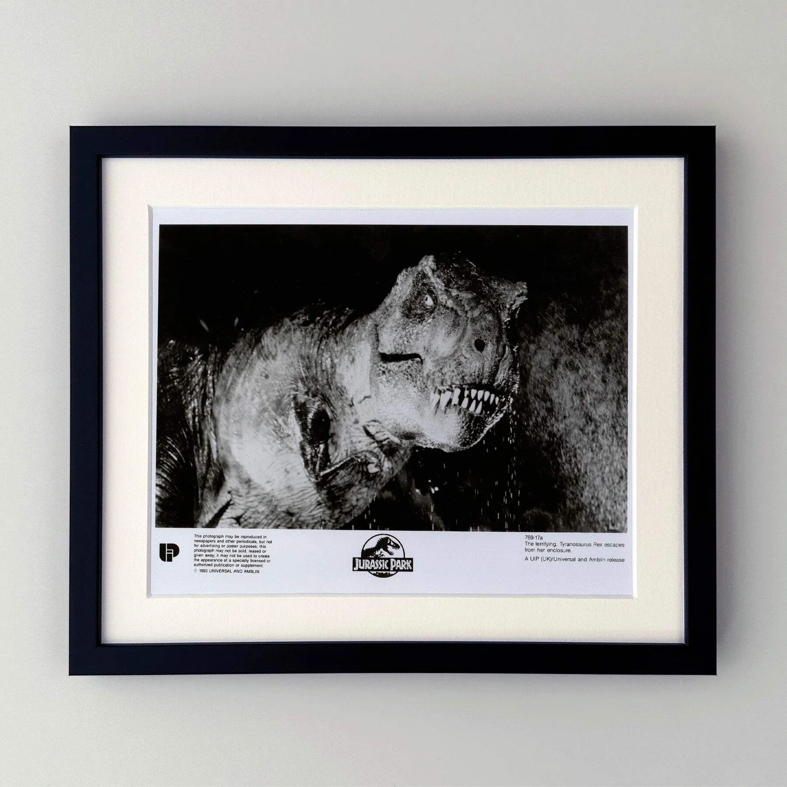 Jurassic Park (1993) Press Publicity Still - Framed, image 2