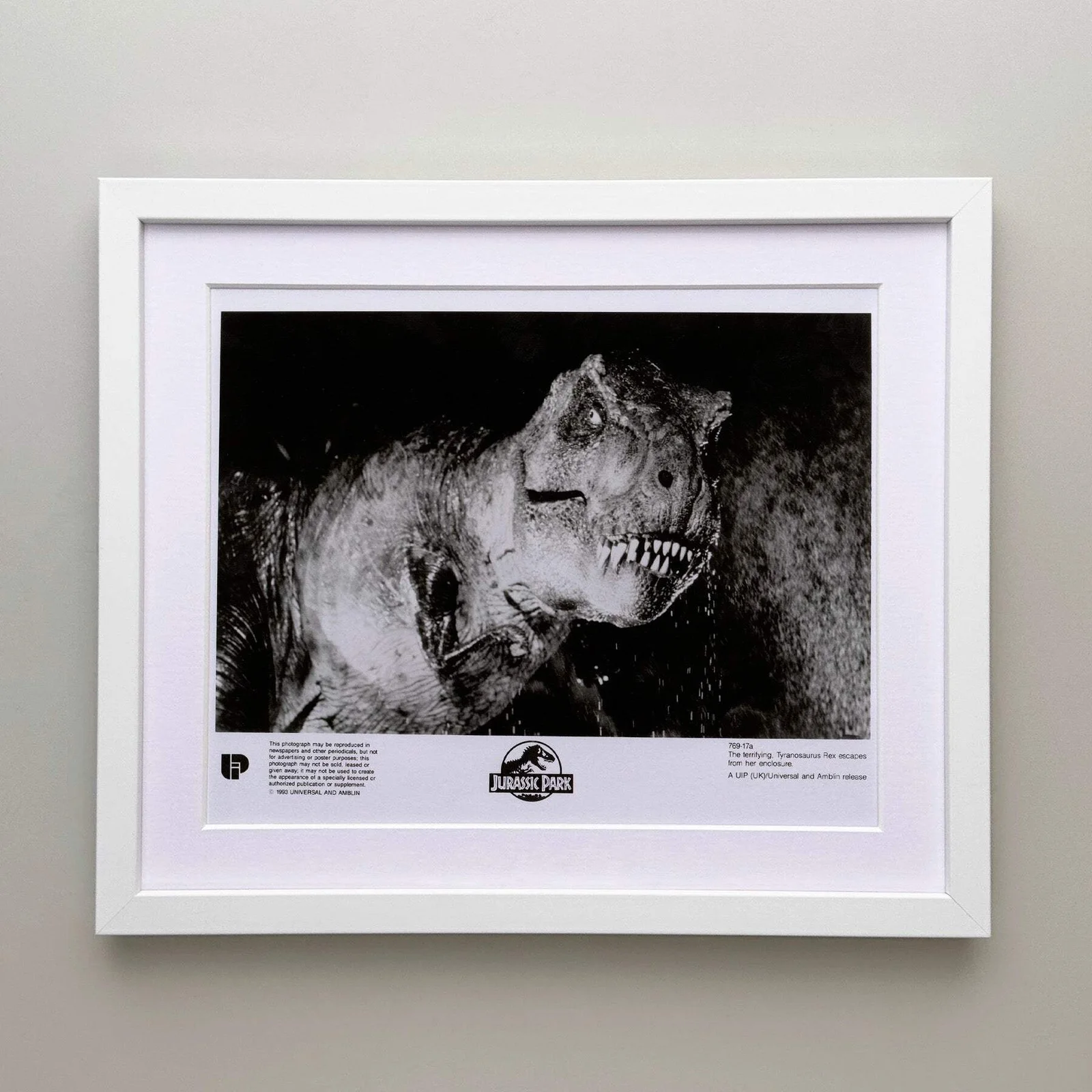 Jurassic Park (1993) Press Publicity Still - Framed, image 3