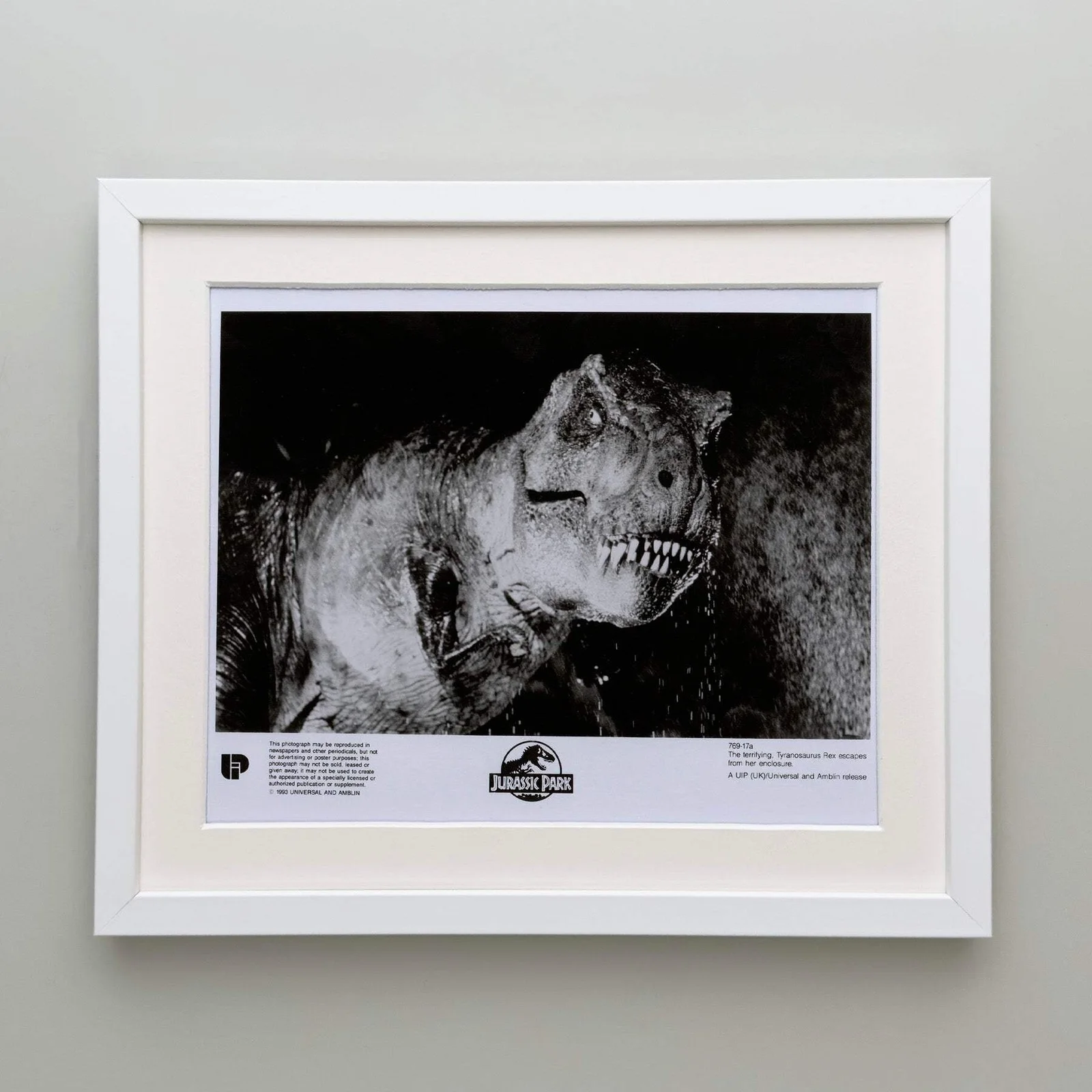 Jurassic Park (1993) Press Publicity Still - Framed, image 4