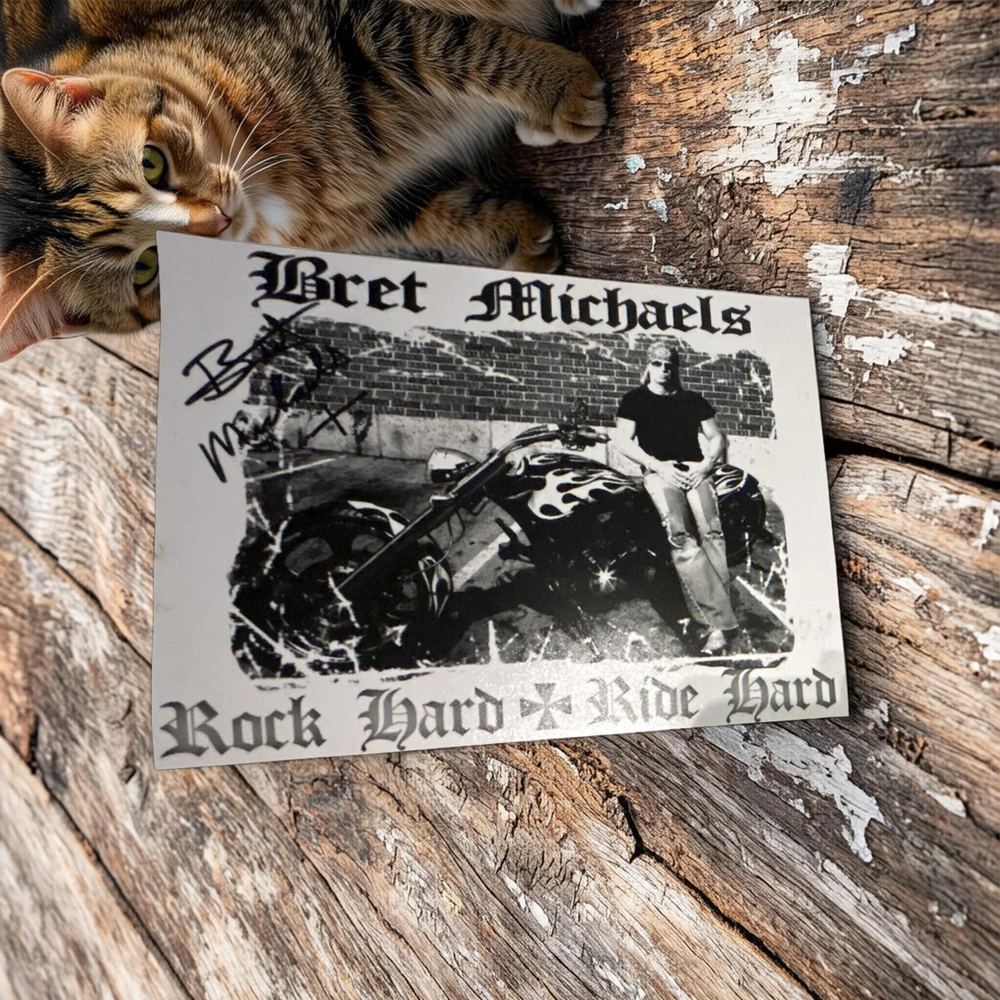 Vintage Bret Michaels Signed 8x10 Photo Rock Hard Ride Hard Poison Hand-Signed, image 2