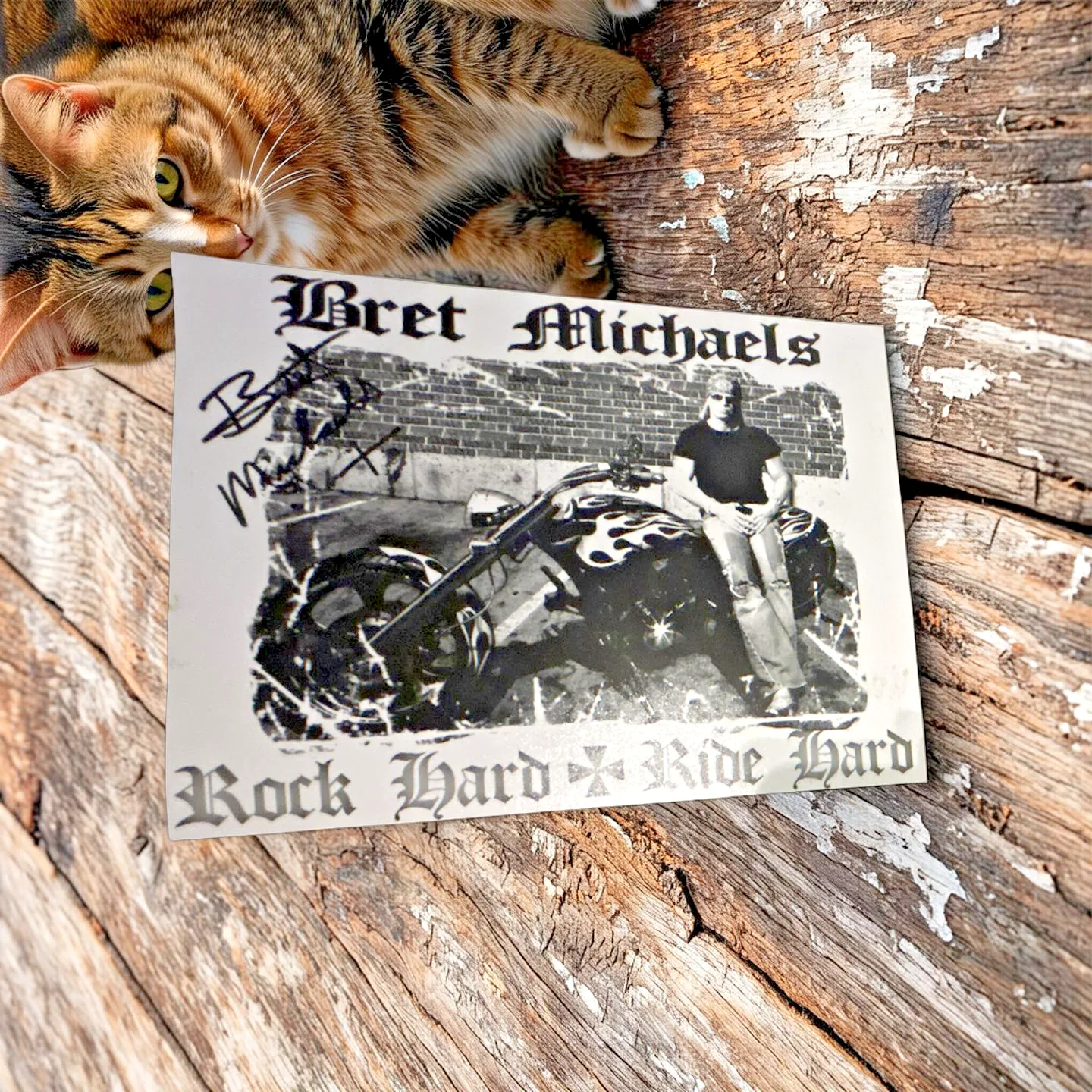 Vintage Bret Michaels Signed 8x10 Photo Rock Hard Ride Hard Poison Hand-Signed, image 3