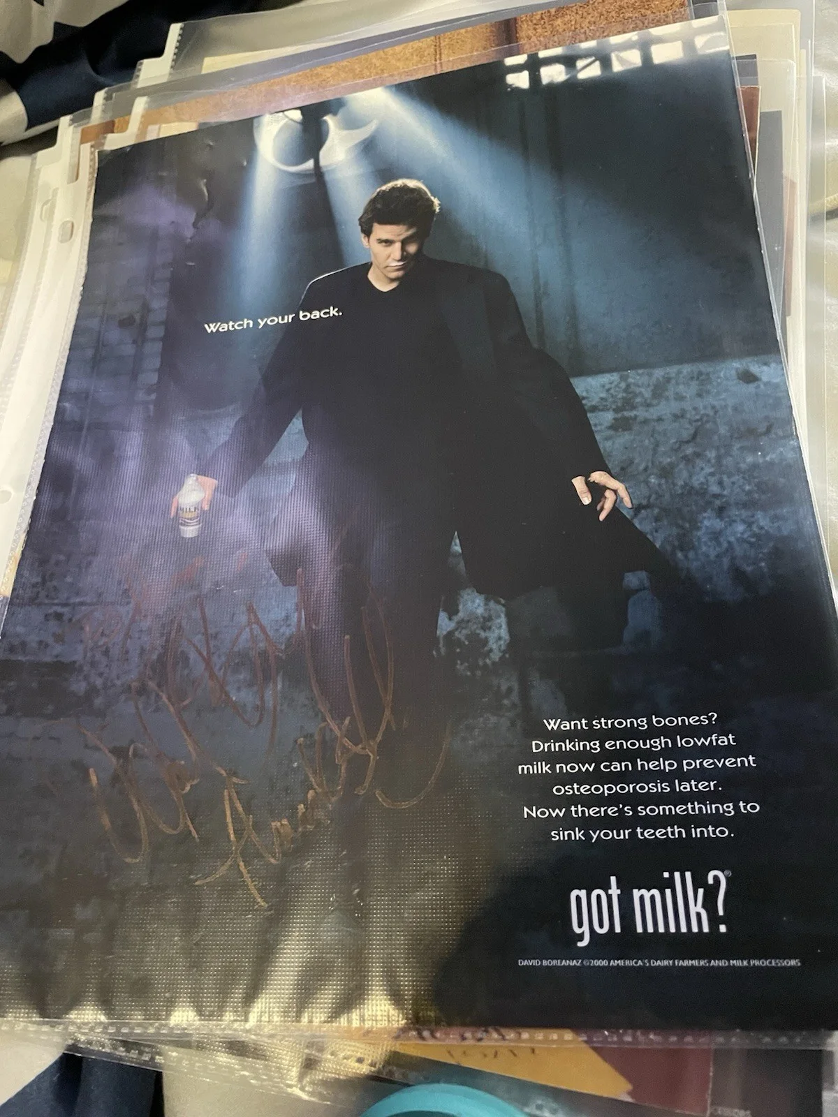 David Boreanez — David Boreanaz Signed Got Milk Ad Magazine Photo Angel Buffy the Vampire Slayer, изображение 2