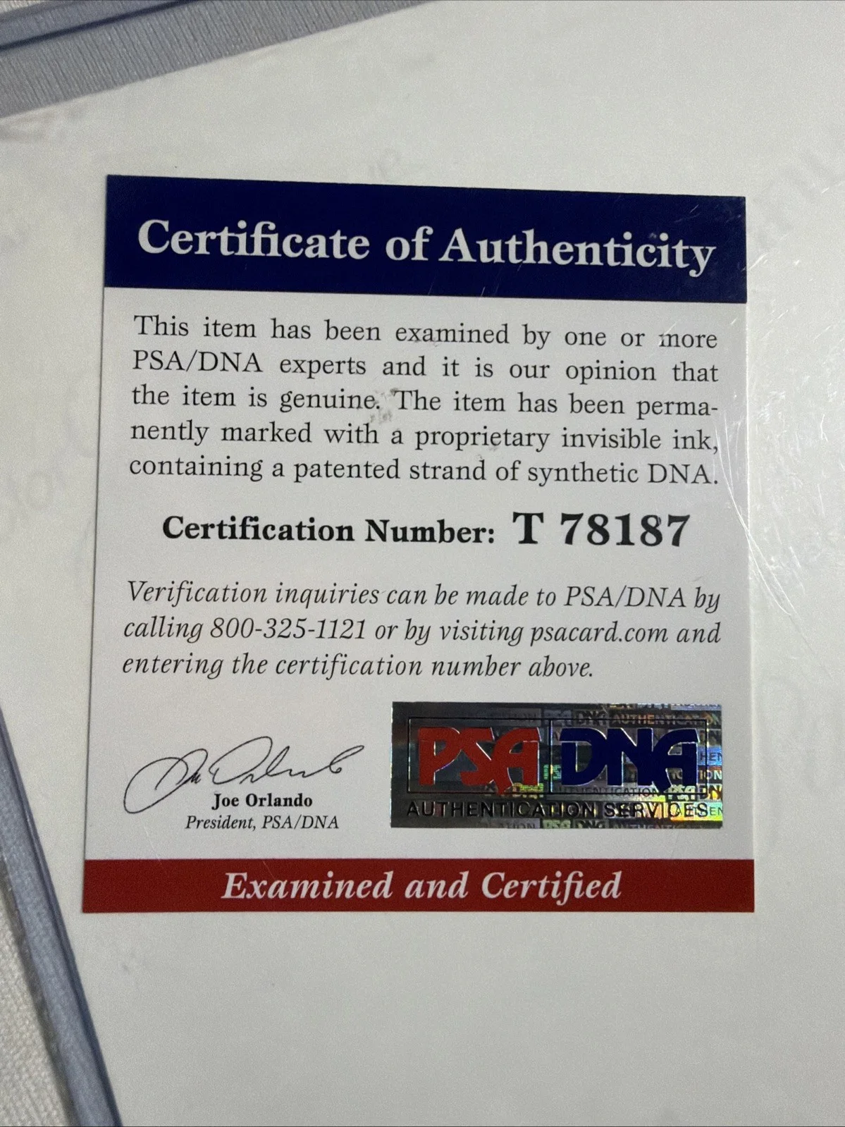 Robin Thicke Signed Autographed 8x10 Photo PSA/DNA Authenticated, image 4