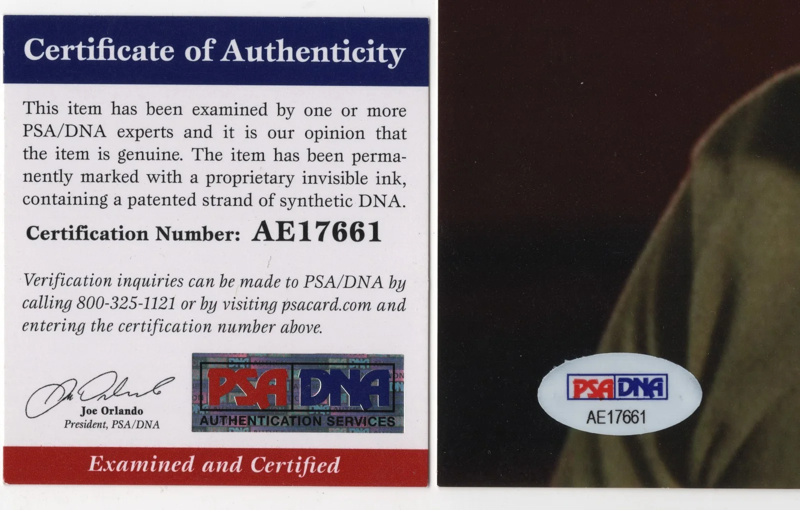 Walter Koenig (Chekov) Star Trek Signed 8 x 10 Color Photo PSA/DNA AE17661, изображение 2