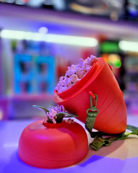 Zootropolis 2 Zootopia Cineworld Disney Limited Edition Carrot Popcorn Holder, изображение 2