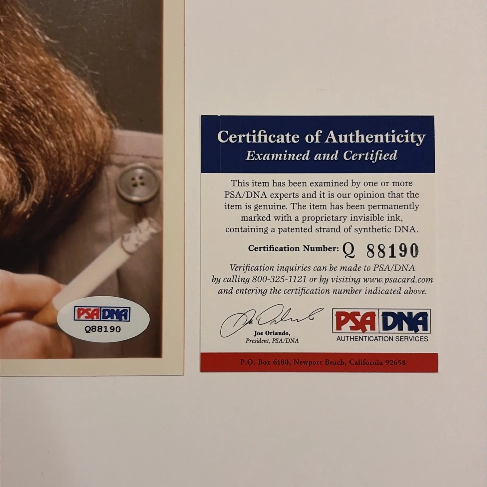 FAYE DUNAWAY — FAYE DUNAWAY Signed 8x10 PHOTO NETWORK EYES OF LAURA MARS PSA DNA, изображение 3