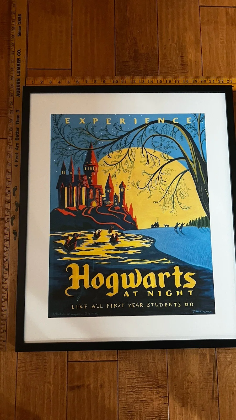 HARRY POTTER CAROLINE HADILAKSONO 18"x22.5" Framed print, image 2