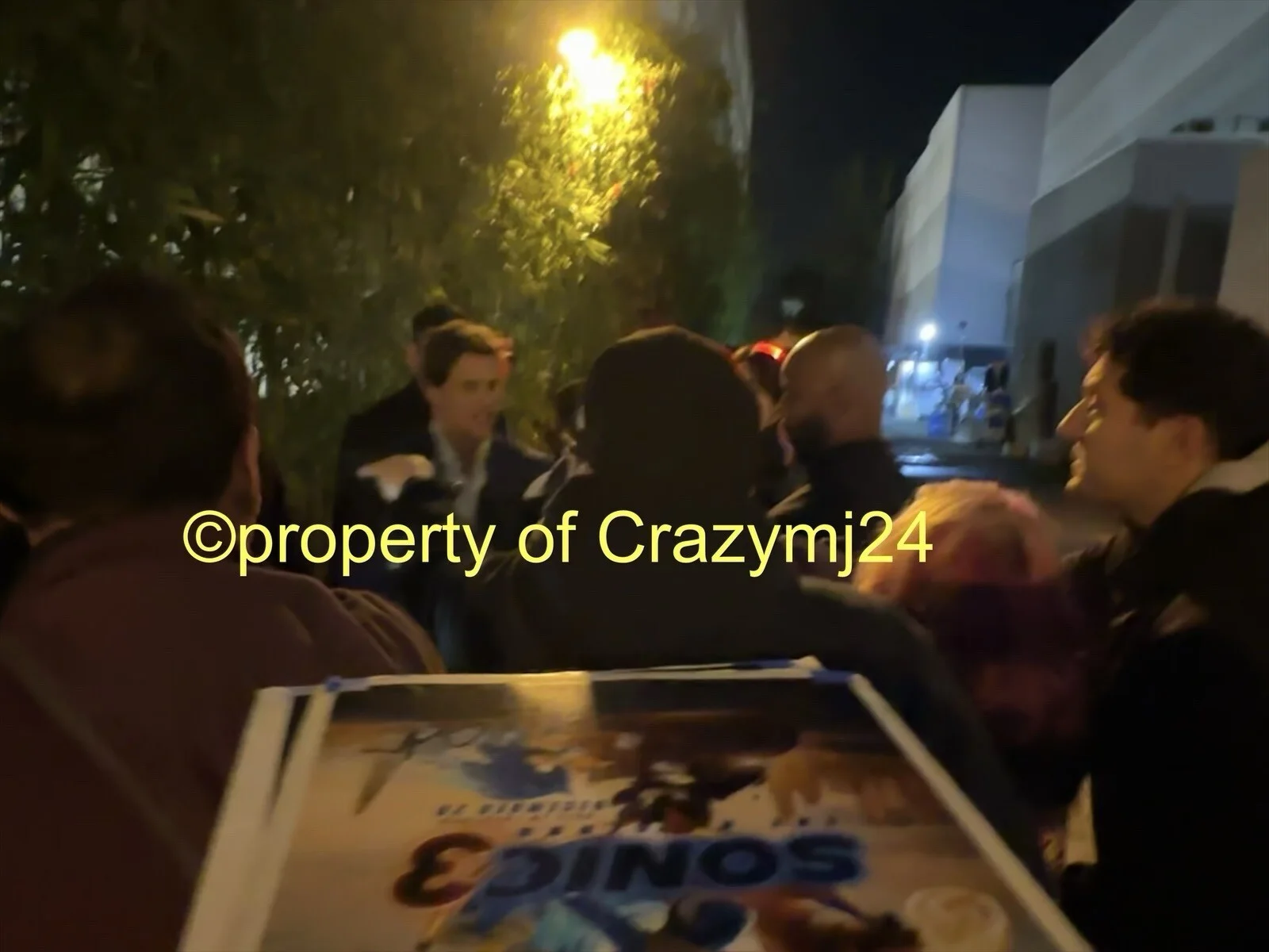 Ben Schwartz James Marsden Signed Sonic 3 12x18 Poster Autograph Proof SWAU, image 5