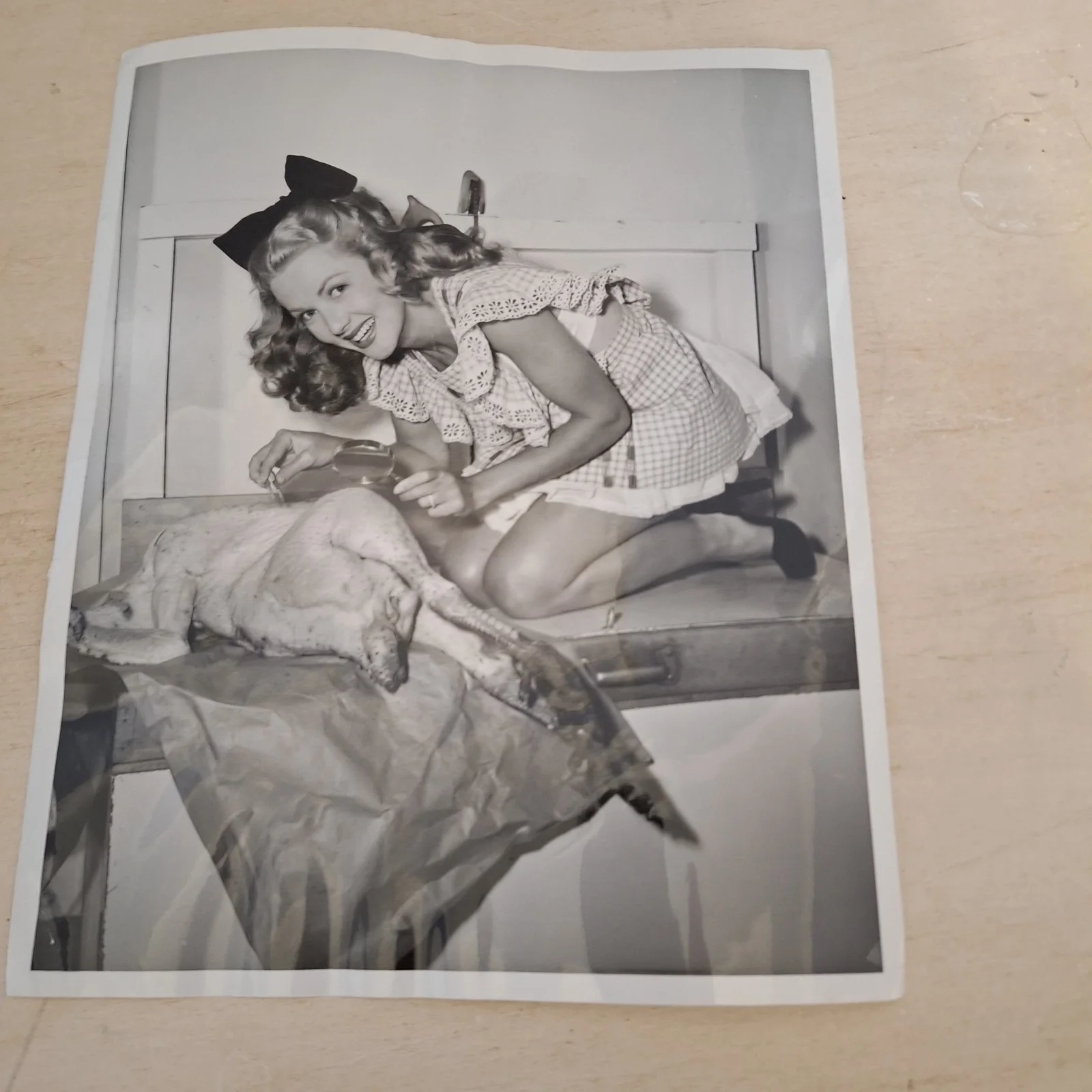 Rare 8X10 glossy Photo Phyllis Coates Plucking her Thanksgiven Turkey, изображение 4