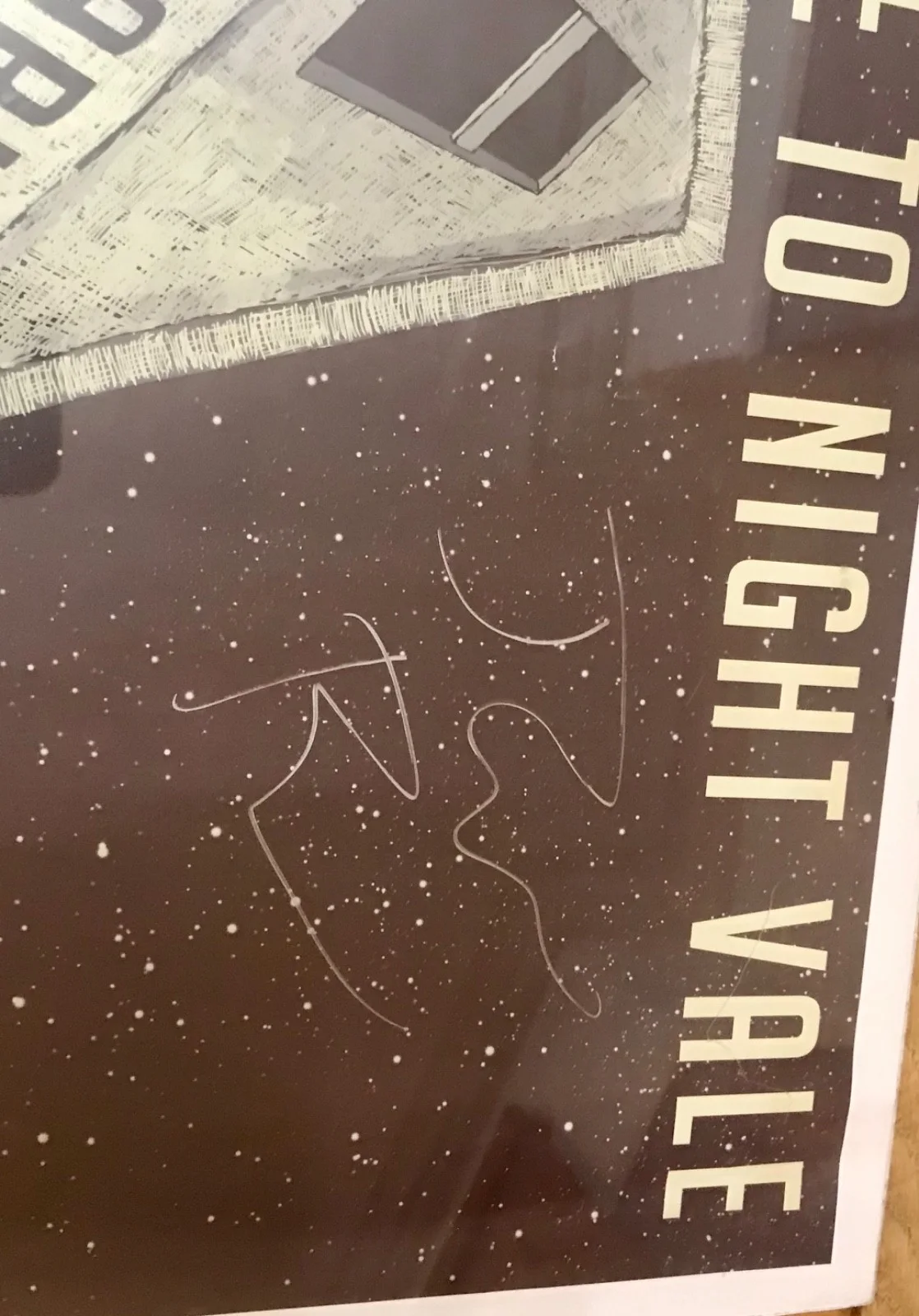 Welcome to Night Vale "The Librarian" European Tour Poster Signed 2014 RARE, изображение 3