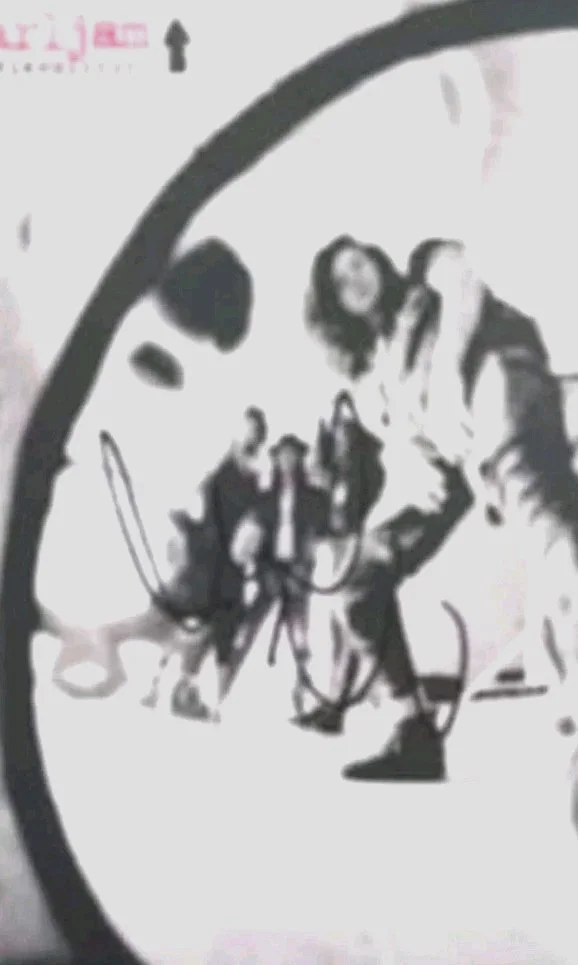Pearl Jam Mike Mccready Signed RearviewMirror Vinyl Record, image 3