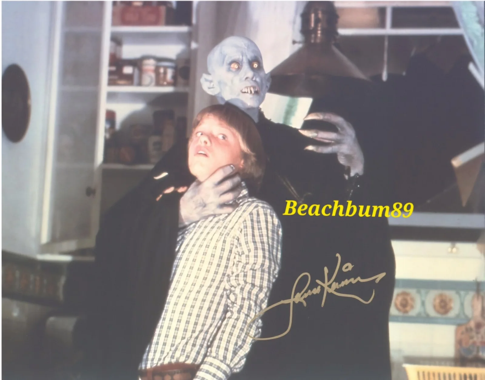 Lance Kerwin — Rare - LANCE KERWIN as 'Mark Petrie' In "Salem’s Lot" - Signed 11x14 Photo W/COA