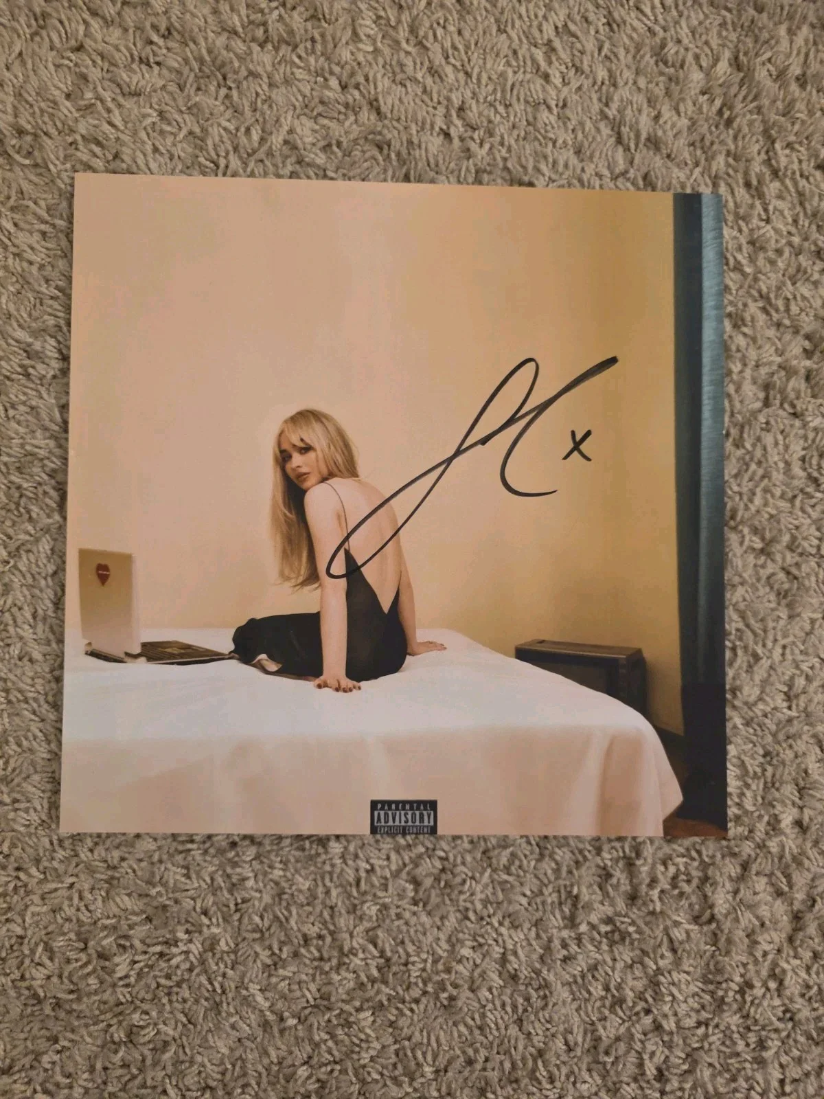 Sabrina Carpenter Signed Bundle of 5 Vinyl Inserts Fanmade REPRINTS 12x 12, изображение 5