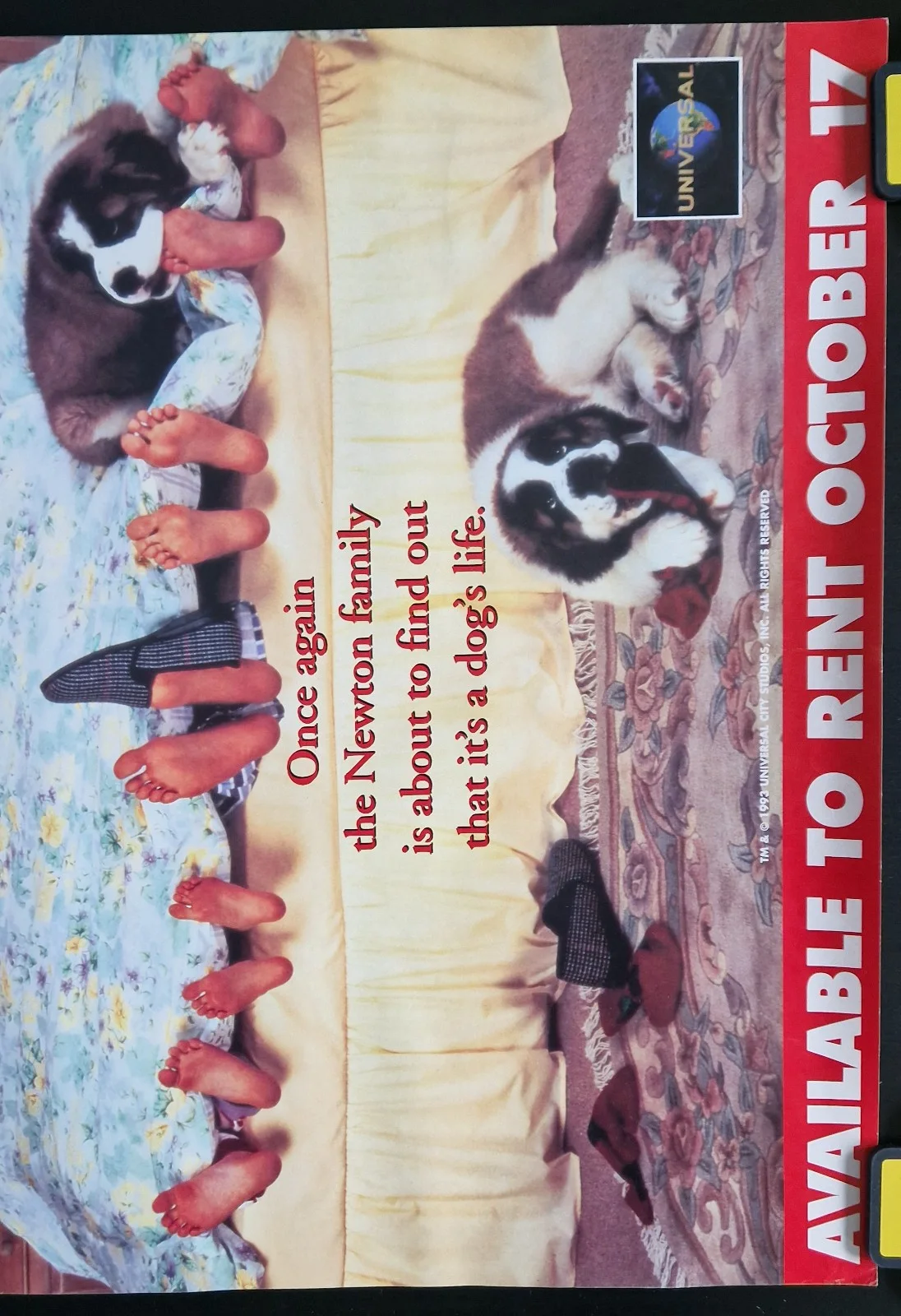 Beethoven's 2nd 1993 VHS Video Store Promo Poster – A2, image 3
