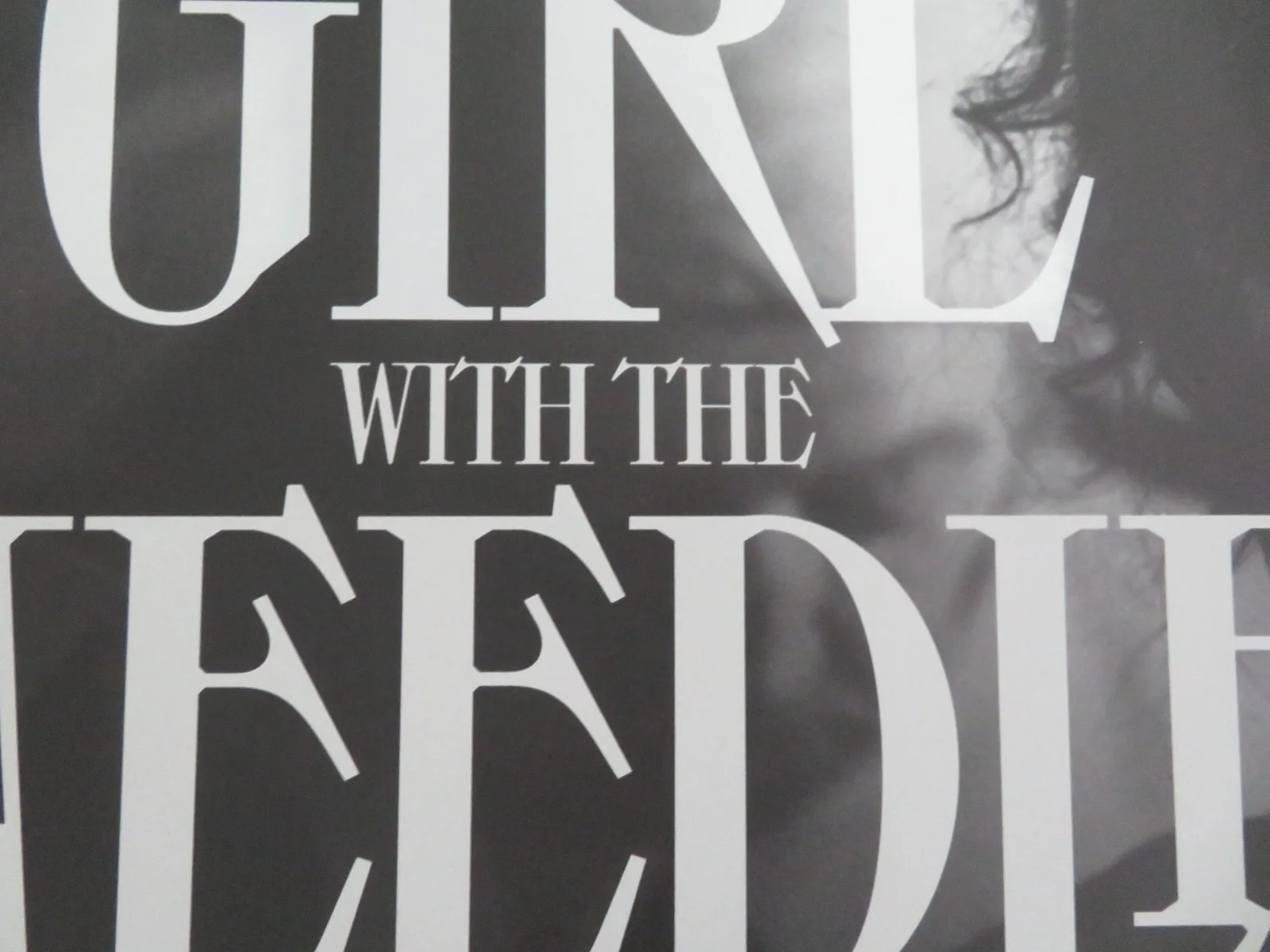 THE GIRL WITH THE NEEDLE UK QUAD ROLLED POSTER VIC CARMEN STONE T. DYRHOLM 2024, изображение 2