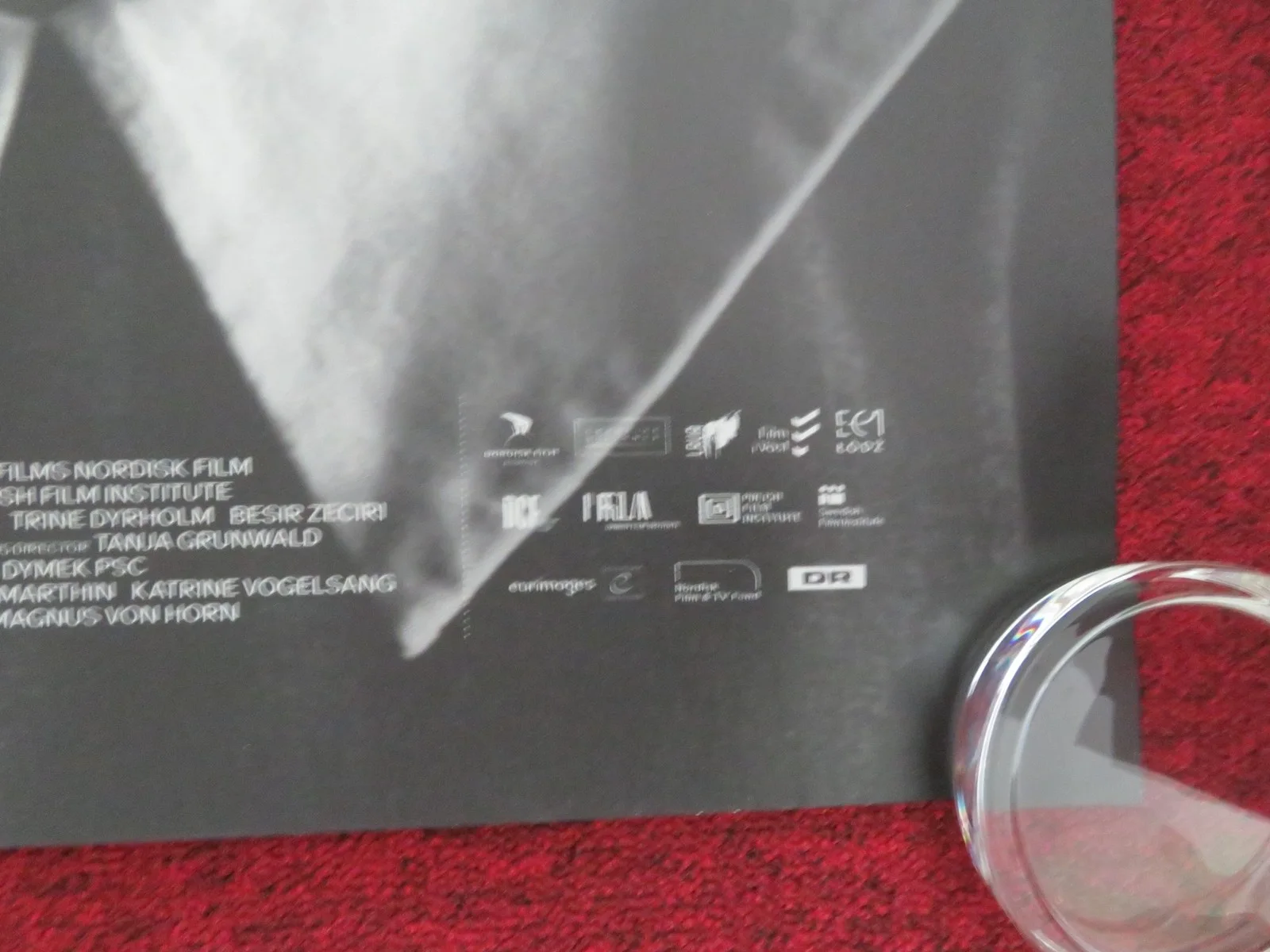 THE GIRL WITH THE NEEDLE UK QUAD ROLLED POSTER VIC CARMEN STONE T. DYRHOLM 2024, изображение 5