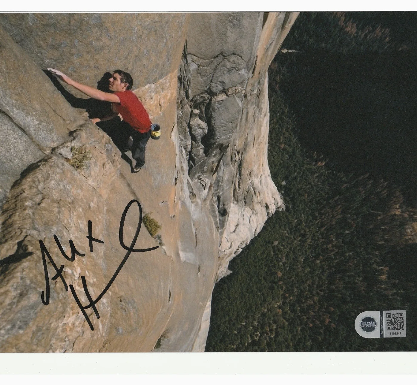 Alex Honnold — Alex Honnold autographed signed 8x10 photo Swau Coa Cert Free Solo Rock Climb 6