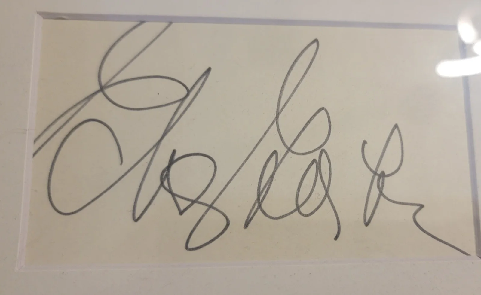 Eddie Albert & Eva Gabor Green Acres Autograph Photo Display Beckett & PSA certs, изображение 2