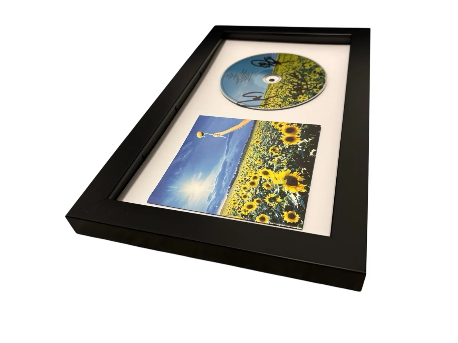 STONE TEMPLE PILOTS SIGNED AUTOGRAPH x3 THANK YOU FRAMED CD w PROOF JSA CERT COA, изображение 4