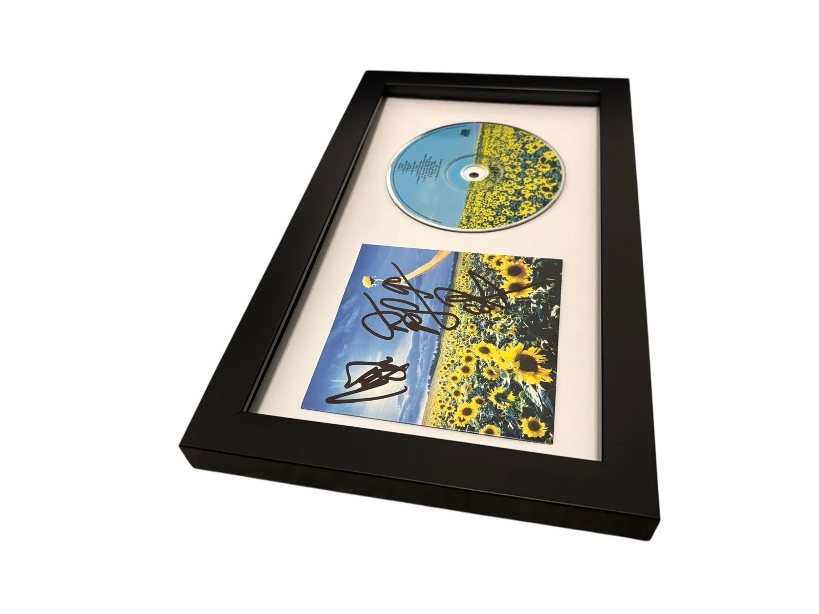 STONE TEMPLE PILOTS SIGNED AUTOGRAPH x3 THANK YOU FRAMED CD w PROOF JSA CERT COA, изображение 4