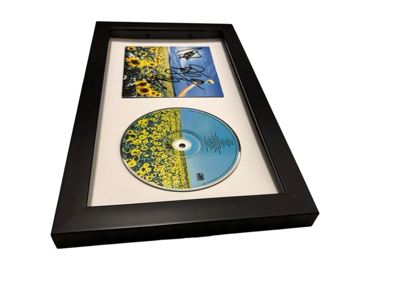 STONE TEMPLE PILOTS SIGNED AUTOGRAPH x3 THANK YOU FRAMED CD w PROOF JSA CERT COA, изображение 5