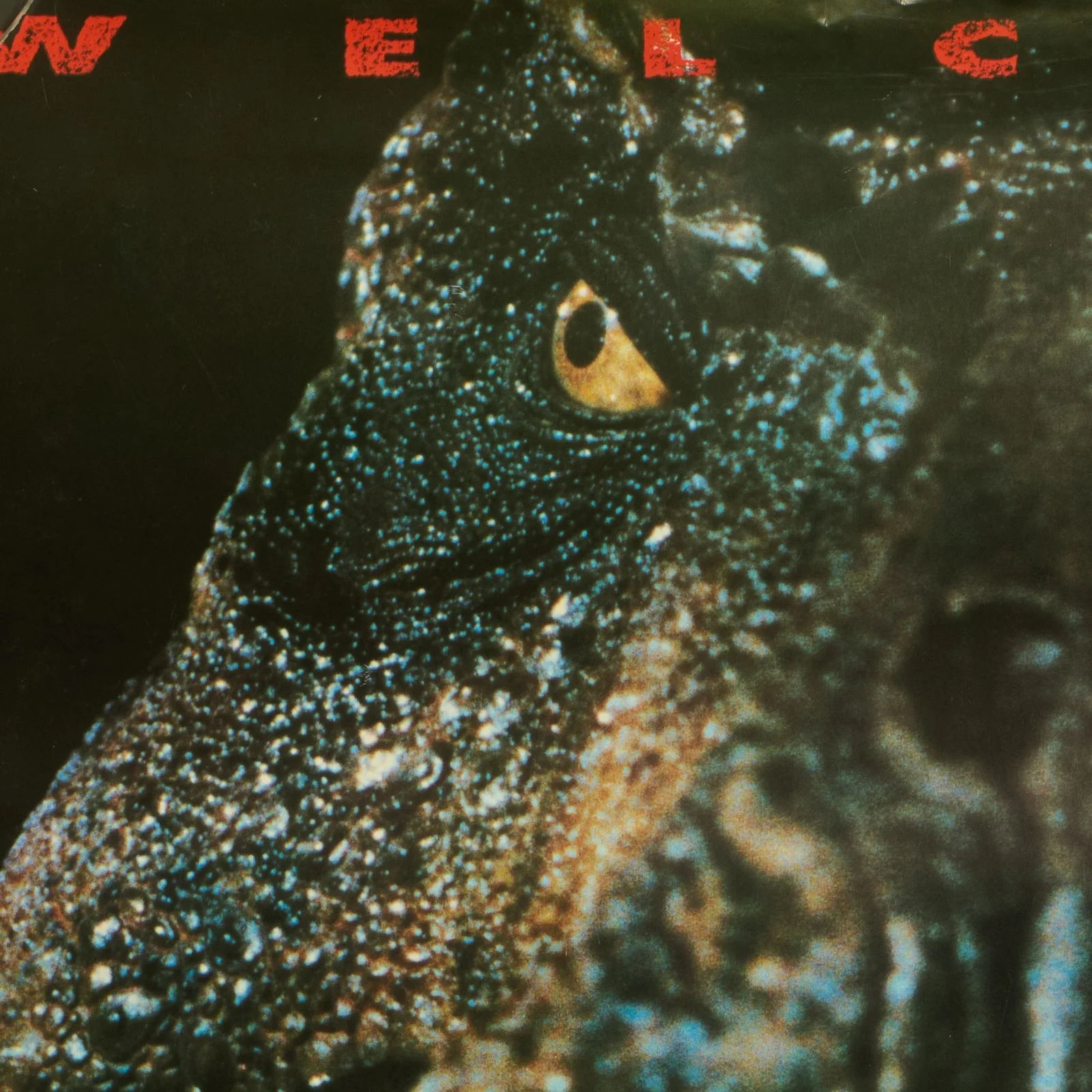 RARE Vintage 1992 Jurassic Park T-Rex Poster "Welcome to Jurassic Park" Amblin, изображение 2
