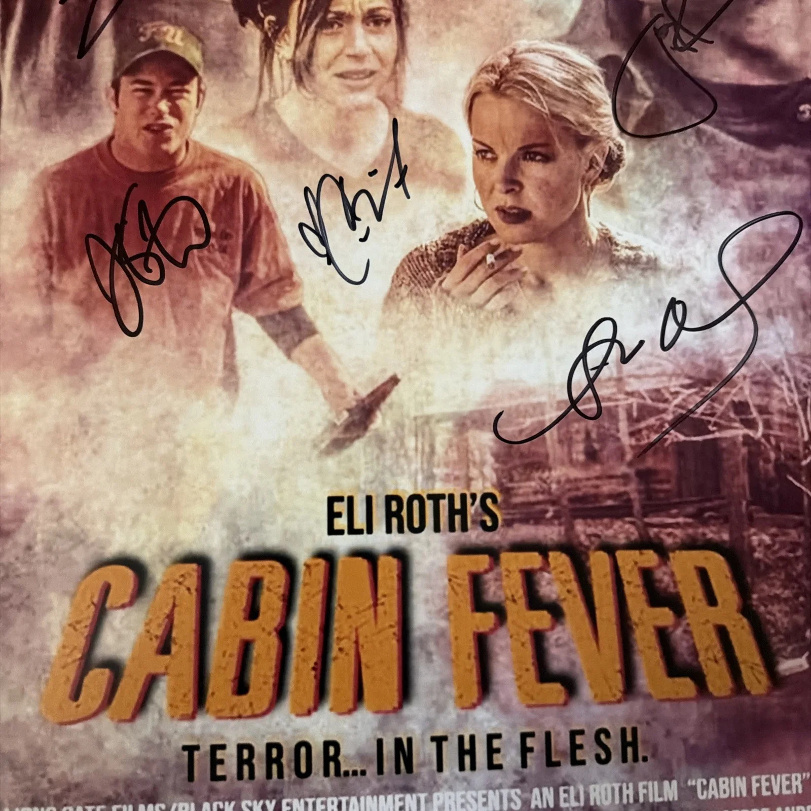 Cabin Fever 11x17 poster signed by 5 JSA Joey Kern Rider Strong Cerina Vincent, изображение 3