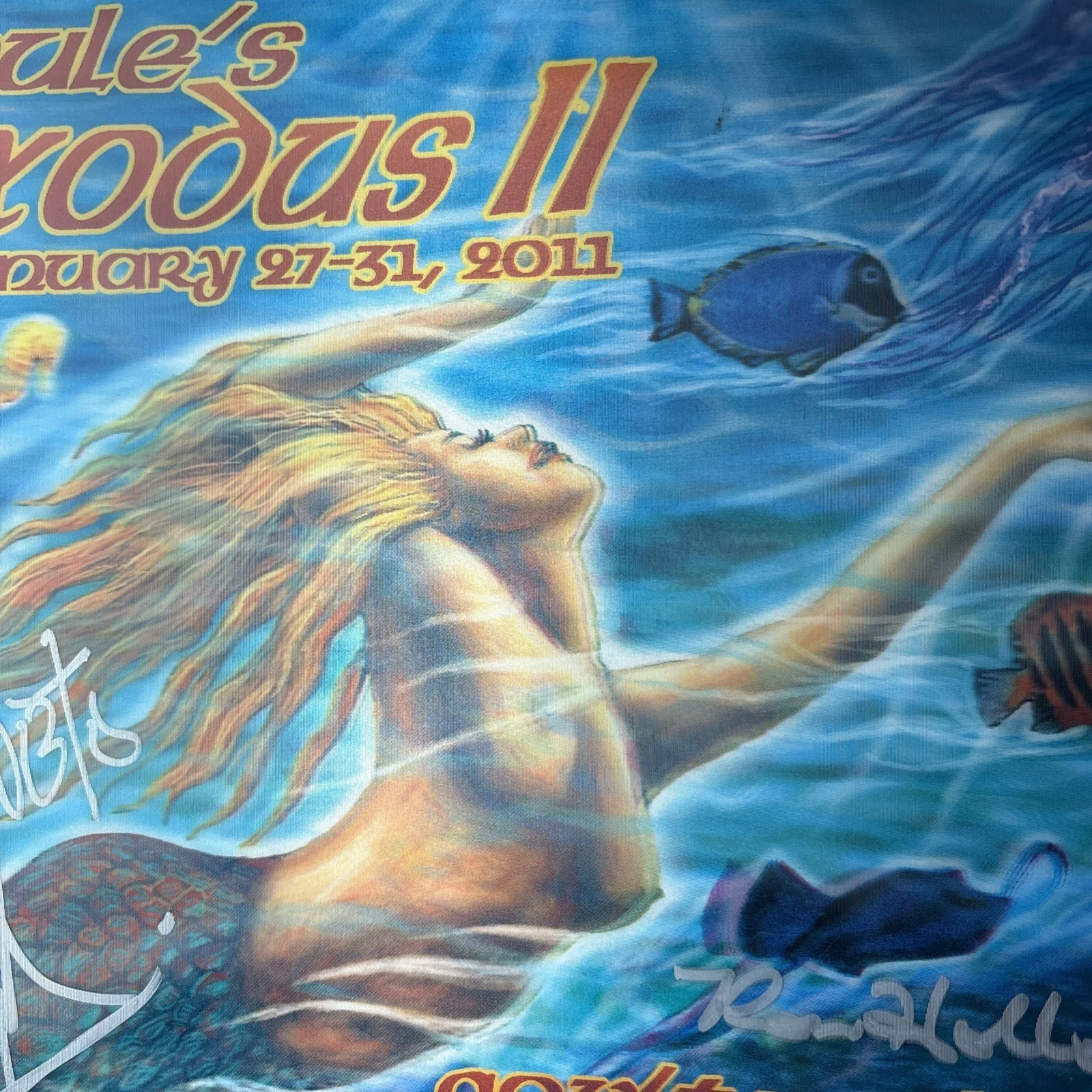 Govt Mule Island Exodus 2011 Concert Art Signed Poster Limited Holographic music, image 4