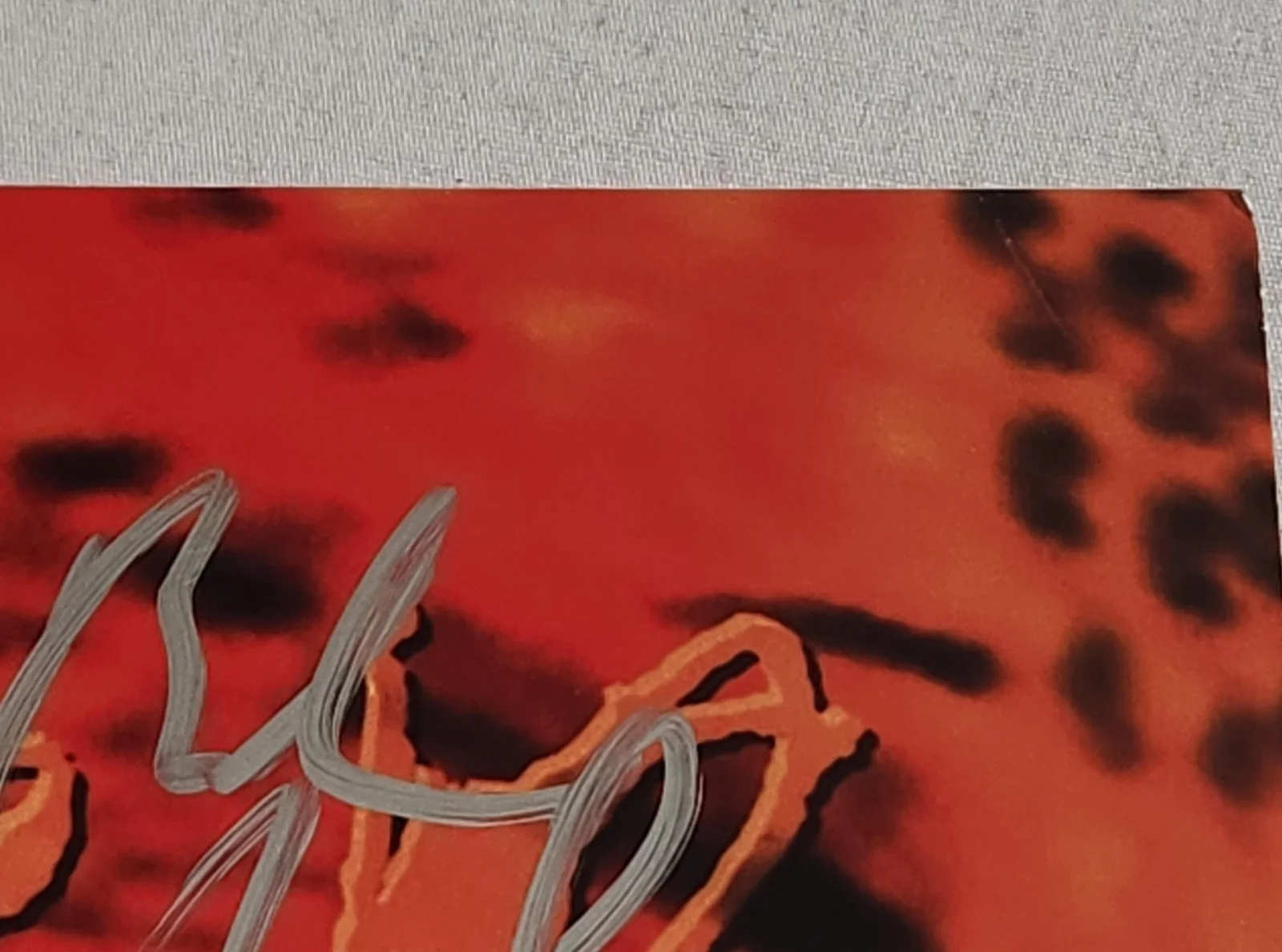 Winger Autographed Pull Apple Red Vinyl LP, image 2