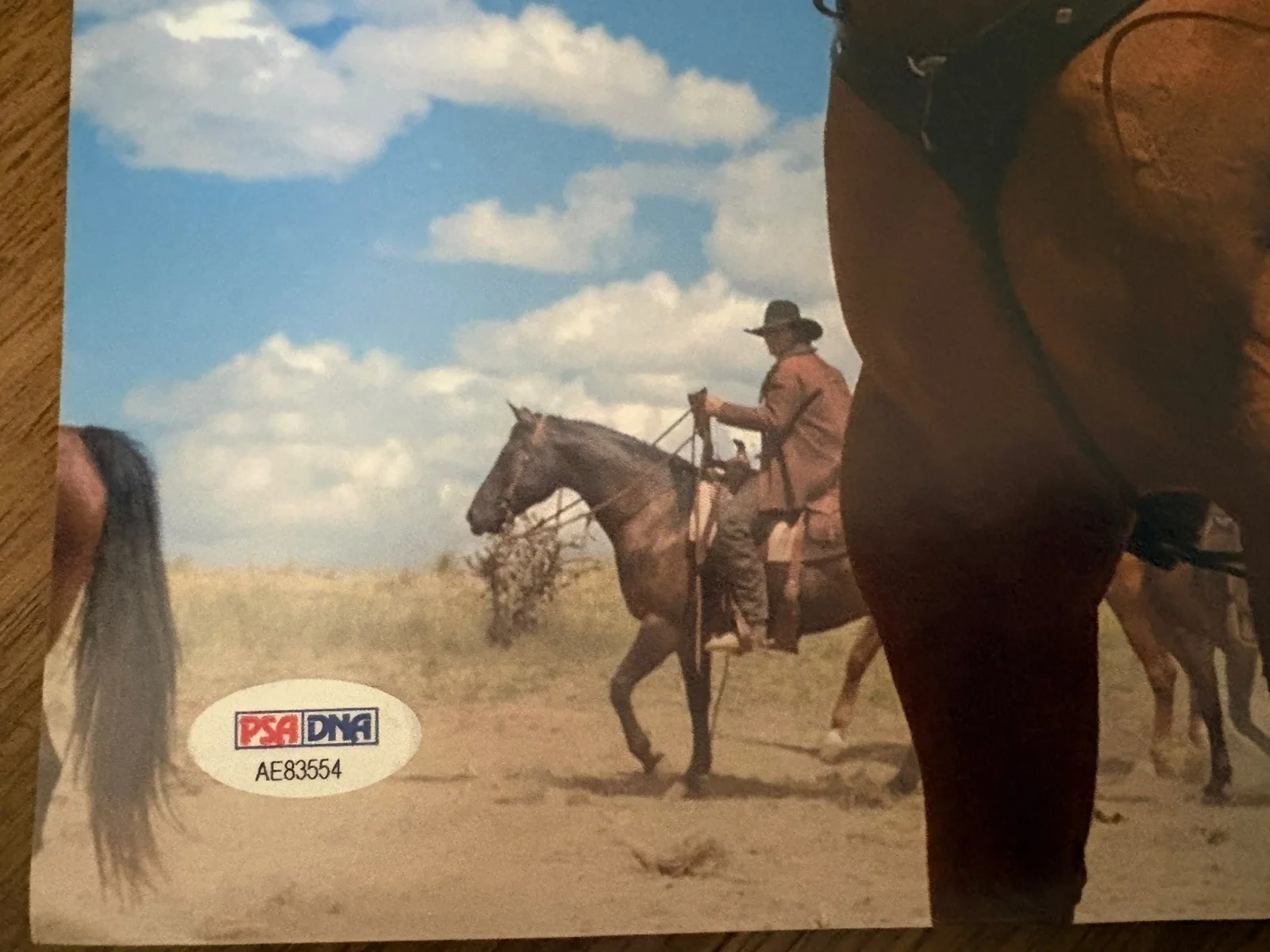 JEFF DANIELS Signed 11X14 Photo Godless Outlaw Frank Griffin Horseback PSA/DNA, изображение 3