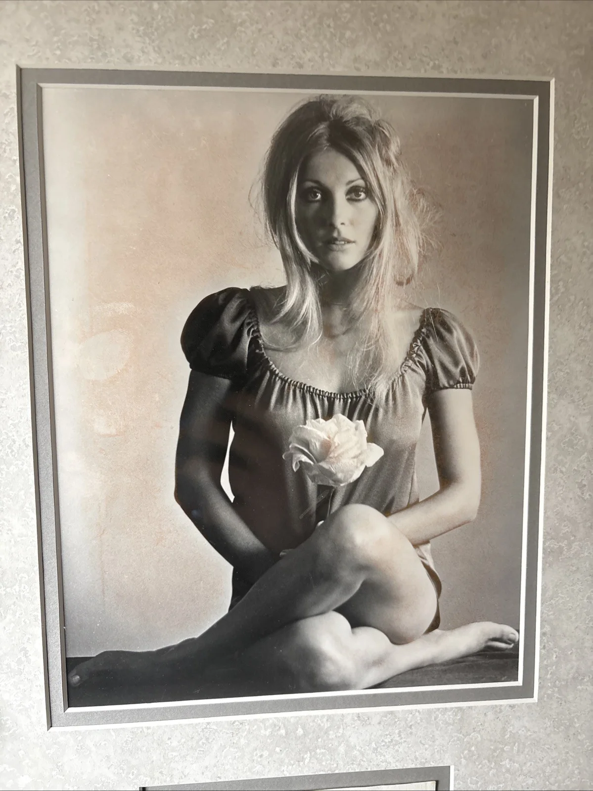 Sharon Tate — sharon tate signature Authentic With COA, image 3