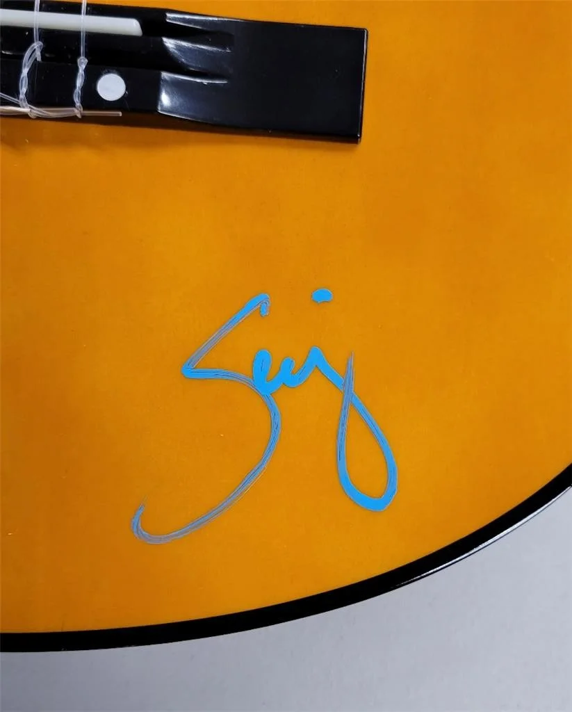 Serj Tankian signed Acoustic Guitar autograph System of a Down ~ JSA COA, изображение 4