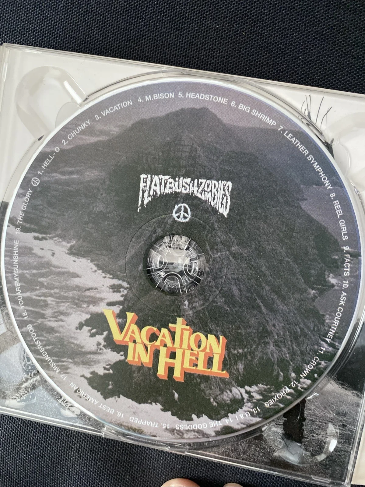 SIGNED ViH Flatbush Zombies CD Album, image 3
