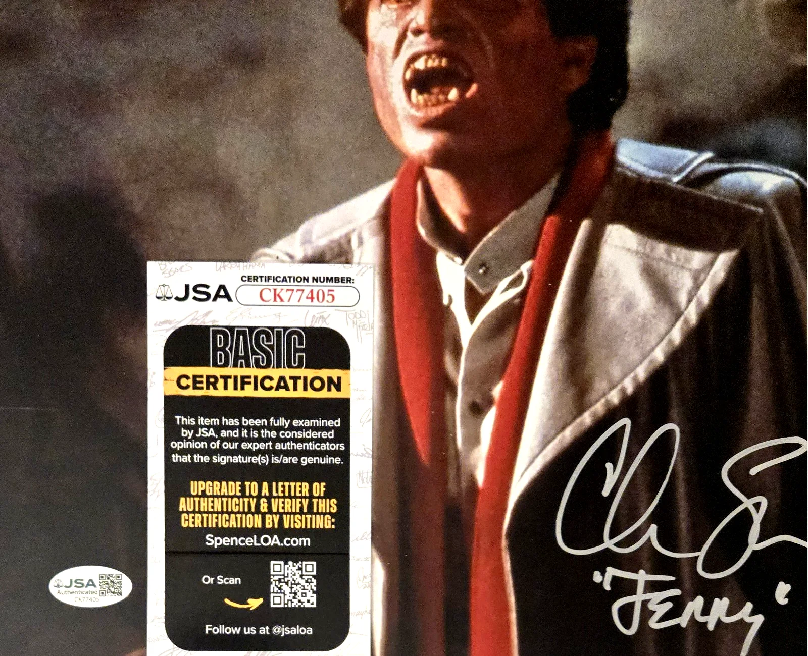 CHRIS SARANDON — Chris Sarandon Signed Photo Fright Night 11x14 Jerry JSA COA 405, image 2