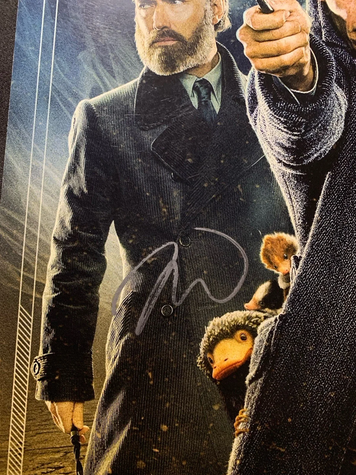 JUDE LAW SIGNED FANTASTIC BEASTS 12x18 MOVIE Pic Photo JSA, изображение 2