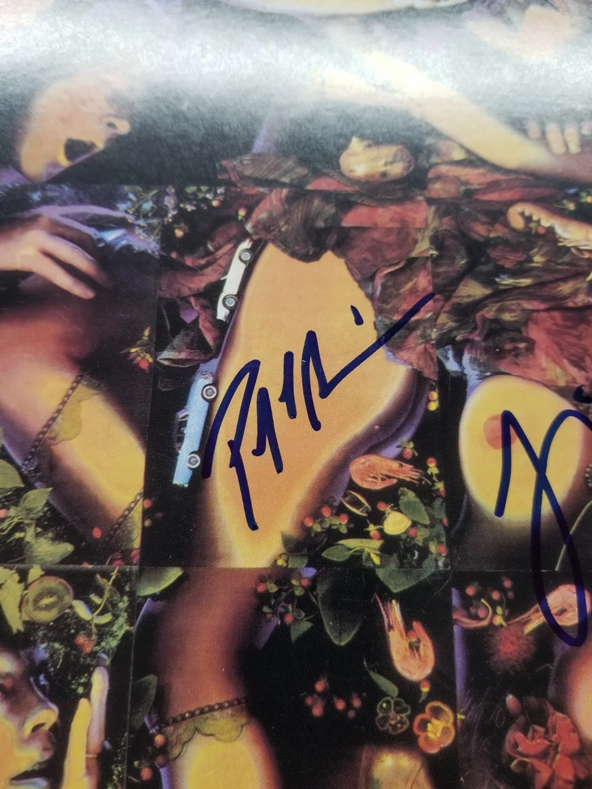 The Tragically Hip hand SIGNED Fully Completely Album Flat JSA LOA Gord Downie +, изображение 3