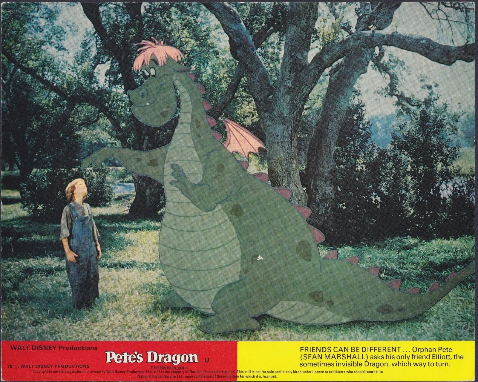 Pete's Dragon 6x ORIGINAL UK FOH Lobby Cards + 2x Stills Walt Disney 1977, изображение 2