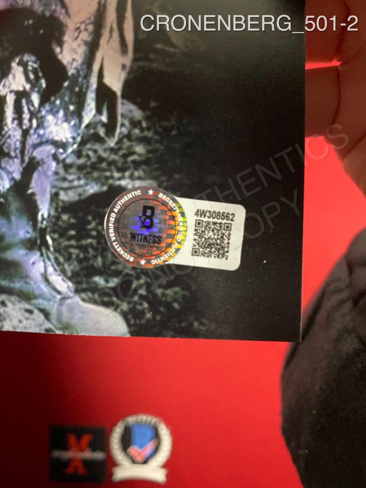 David Cronenberg — David Cronenberg autographed signed Nightbreed 11x17 photo Beckett COA horror, image 2