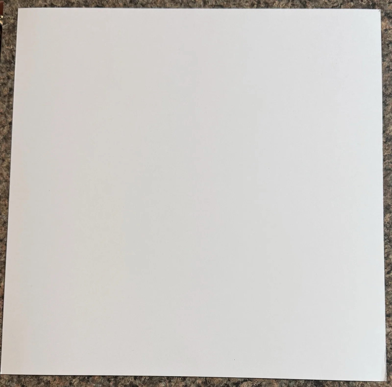 Maddie and Tae Signed Vinyl Insert BAS!!, image 5
