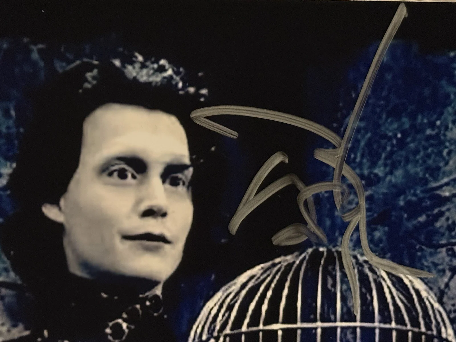 Johnny Depp Signed 8x10 Edward Scissorhands, image 2