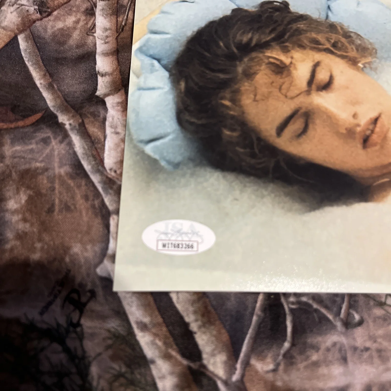 Heather Langenkamp — Heather Langenkamp “A Nightmare On Elm Street” Autograph 11x14 JSA Authentic, image 3