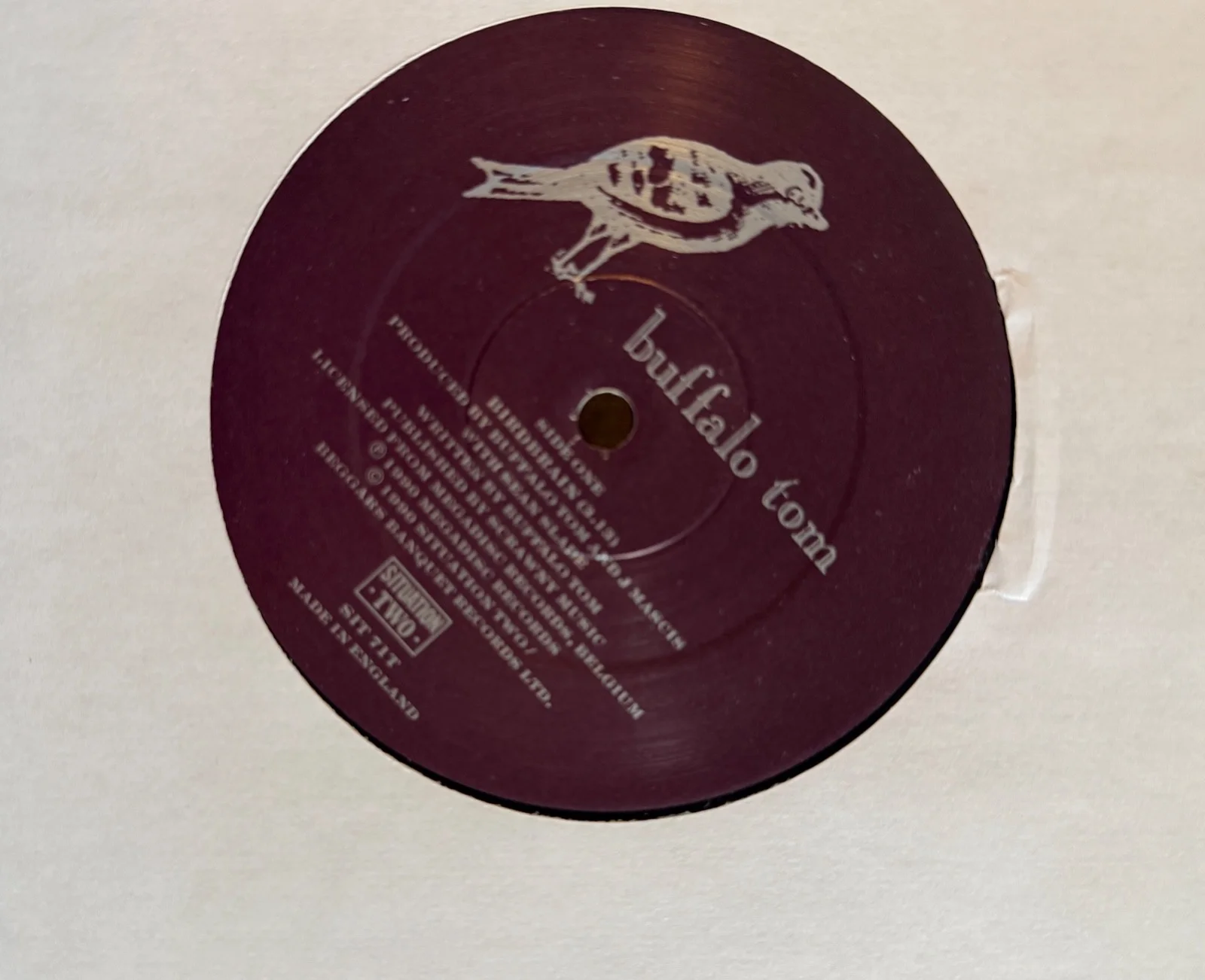Buffalo Tom : Birdbrain 12" fully signed autographed vinyl ( Lp Sugar Bob Mould, image 3
